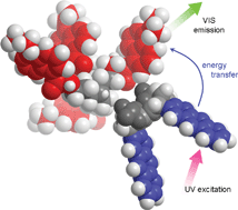 Graphical abstract: Fluorescent water-soluble molecular clips. Self-association and formation of adducts in aqueous and methanol solutions