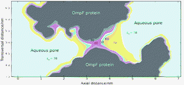 Graphical abstract: Dielectric saturation of water in a membrane protein channel