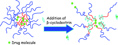Graphical abstract: Assembling and de-assembling micelles: competitive interactions of cyclodextrins and drugs with Pluronics