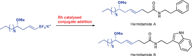 Graphical abstract: Rhodium catalysed conjugate addition of a chiral alkenyltrifluoroborate salt: the enantioselective synthesis of hermitamides A and B