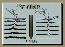 Graphical abstract: Galactose oxidase models: insights from 19F NMR spectroscopy