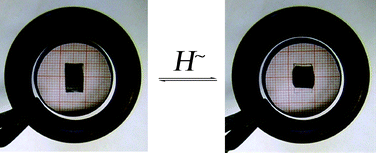 Graphical abstract: Magnetoactive liquid crystal elastomer nanocomposites