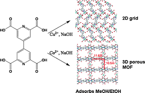 Graphical abstract: Coordination polymer based on Cu(ii), Co(ii) and 4,4′-bipyridine-2,6,2′,6′-tetracarboxylate: synthesis, structure and adsorption properties