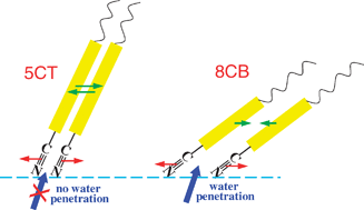 Graphical abstract: Water penetration/accommodation and phase behaviour of the neutral langmuir monolayer at the air/water interface probed with sum frequency generation vibrational spectroscopy (SFG-VS)