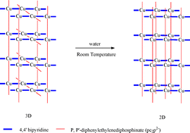 Graphical abstract: A snapshot of a coordination polymer self-assembly process: the crystallization of a metastable 3D network followed by the spontaneous transformation in water to a 2D pseudopolymorphic phase