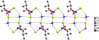 Graphical abstract: The chemistry of phosphorodiselenoates: structure, catalysis and formation of Se-esters