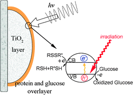 Graphical abstract: In-source photocatalytic reduction of disulfide bonds during laser desorption ionization