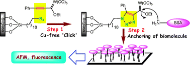 Graphical abstract: A new bio-active surface for protein immobilisation viacopper-free ‘click’ between azido SAM and alkynyl Fischer carbene complex