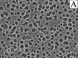 Graphical abstract: Salt-induced erosion of hydrogen-bonded layer-by-layer assembled films