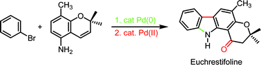 Graphical abstract: Palladium-catalyzed total synthesis of euchrestifoline using a one-pot Wacker oxidation and double aromatic C–H bond activation