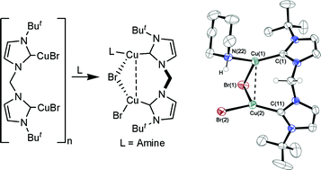 Graphical abstract: Reversible substrate binding at copper centers in neutral copper(i) carbene complexes derived from bis(3-tert-butylimidazole-2-ylidene)methane