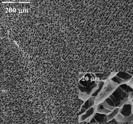 Graphical abstract: Self-assembled titania–silica–sepiolite based nanocomposites for water decontamination