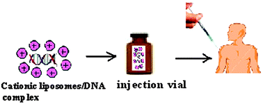 Graphical abstract: Cationic amphiphiles: promising carriers of genetic materials in gene therapy