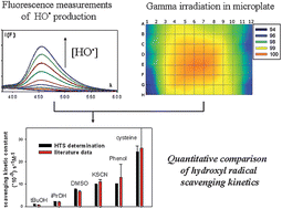 Graphical abstract: Determination of hydroxyl rate constants by a high-throughput fluorimetric assay: towards a unified reactivity scale for antioxidants