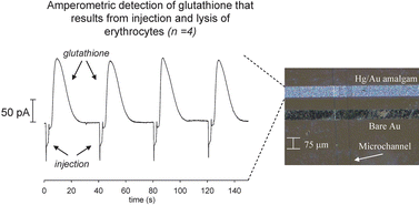 Graphical abstract: Selective detection of endogenous thiols using microchip-based flow analysis and mercury/gold amalgam microelectrodes