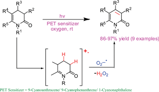 Graphical abstract: Photochemical dehydrogenation of 3,4-dihydro-2-pyridones