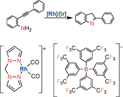 Graphical abstract: Weakly coordinating counter-ions for highly efficient catalysis of intramolecular hydroamination