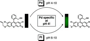 Graphical abstract: Studies of a fluorogenic probe for palladium and platinum leading to a palladium-specific detection method