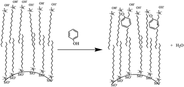 Graphical abstract: Dihexadecyldimethylammonium hydroxide admicelles on silica for the preconcentration of selected phenols