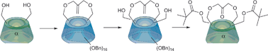 Graphical abstract: Cyclodextrin ketones as oxidation catalysts: Investigation of bridged derivatives