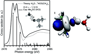 Graphical abstract: Ambidentate coordination in hydrogen bonded dimethyl sulfoxide, (CH3)2SO⋯H3O+, and in dichlorobis(dimethyl sulfoxide) palladium(ii) and platinum(ii) solid solvates, by vibrational and sulfur K-edge X-ray absorption spectroscopy