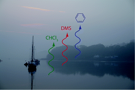 Graphical abstract: Temporal trends and identification of the sources of volatile organic compounds in coastal seawater