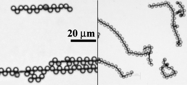 Graphical abstract: Reconfigurable responsive structures assembled from magnetic Janus particles