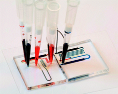 Graphical abstract: Genome-wide transcriptome analysis of 150 cell samples