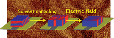 Graphical abstract: 3-dimensional control over lamella orientation and order in thick block copolymer films