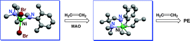 Graphical abstract: Nickel catalysts bearing bidentate α-aminoaldimines for ethylene polymerization—independent and cooperative structure/reactivity relationship resulting from unsymmetric square planar coordination