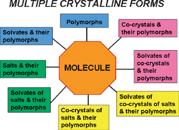 Graphical abstract: Themed issue: Polymorphism and crystal forms