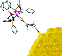 Graphical abstract: Bifunctional dithiocarbamates: a bridge between coordination chemistry and nanoscale materials
