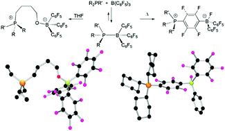 Graphical abstract: Reactions of phosphines with electron deficient boranes