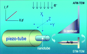 Graphical abstract: Properties and engineering of individual inorganic nanotubes in a transmission electron microscope