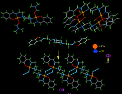 Graphical abstract: Structure and dimensionality of coordination complexes correlated to piperazine conformation: from discrete [CuII2] and [CuII4] complexes to a μ1,3-N3− bridged [CuII2]n chain