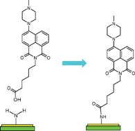 Graphical abstract: Novel pH indicator dyes for array preparation viaNHS ester activation or solid-phase organic synthesis