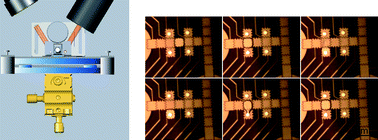 Graphical abstract: Two-dimensional droplet-based surface plasmon resonance imaging using electrowetting-on-dielectric microfluidics