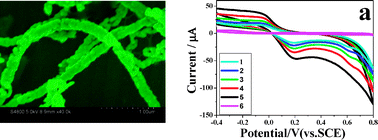 Graphical abstract: CuS nanotubes for ultrasensitive nonenzymatic glucose sensors