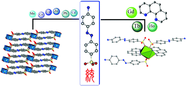 Graphical abstract: Systematic investigation on the coordination chemistry of a sulfonated monoazo dye: Ligand-dominated d- and f-block derivatives