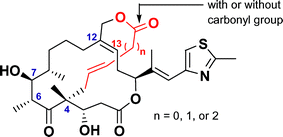 Graphical abstract: Design, synthesis and biological evaluation of bridged epothilone D analogues