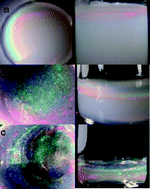 Graphical abstract: The formation of crystalline hydrogel films by self-crosslinking microgels