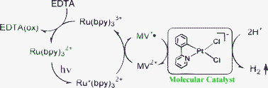 Graphical abstract: Synthesis, crystal structure, solution and spectroscopic properties, and hydrogen-evolving activity of [K(18-crown-6)][Pt(ii)(2-phenylpyridinato)Cl2]