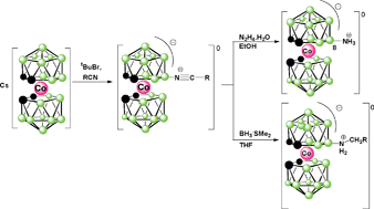 Graphical abstract: Boron(8) substituted nitrilium and ammonium derivatives, versatile cobalt bis(1,2-dicarbollide) building blocks for synthetic purposes