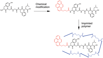 Graphical abstract: Peptide-imprinted polymer microspheres prepared by precipitation polymerization using a single bi-functional monomer