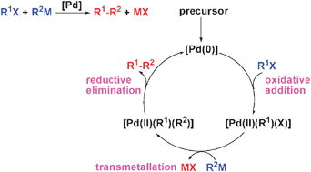 Graphical abstract: Theoretical aspects of palladium-catalysed carbon–carbon cross-coupling reactions