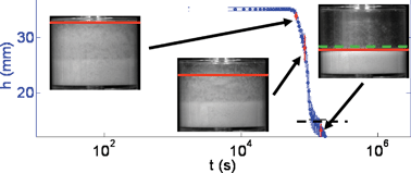 Graphical abstract: Universal behaviour in the mechanical properties of weakly aggregated colloidal particles