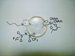 Graphical abstract: Immobilization of ionic liquids in translucent tin dioxide monoliths by sol–gel processing