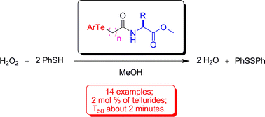 Graphical abstract: Synthesis of telluroamino acid derivatives with remarkable GPx like activity