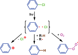 Graphical abstract: Probing the photoreactivity of aryl chlorides with oxygen
