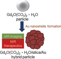 Graphical abstract: Fabrication of Gd2O(CO3)2·H2O/silica/gold hybrid particles as a bifunctional agent for MR imaging and photothermal destruction of cancer cells